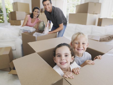 Removal and storage support in Bromley